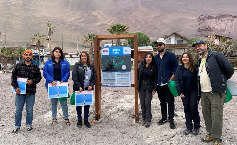 Instalan paneles con información de biodiversidad costera en Playa Blanca